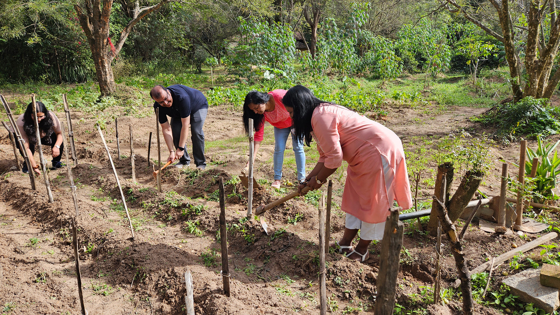 Titan Company employees volunteering